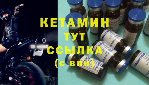 сатива Абинск