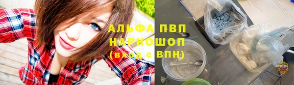 сатива Абинск