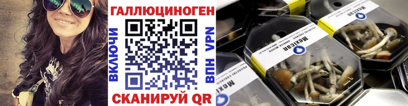 закладки  Азнакаево  Галлюциногенные грибы Cubensis 