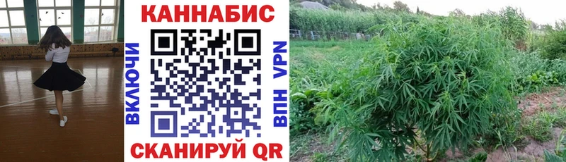 kraken ONION  цена   Азнакаево  МАРИХУАНА планчик 